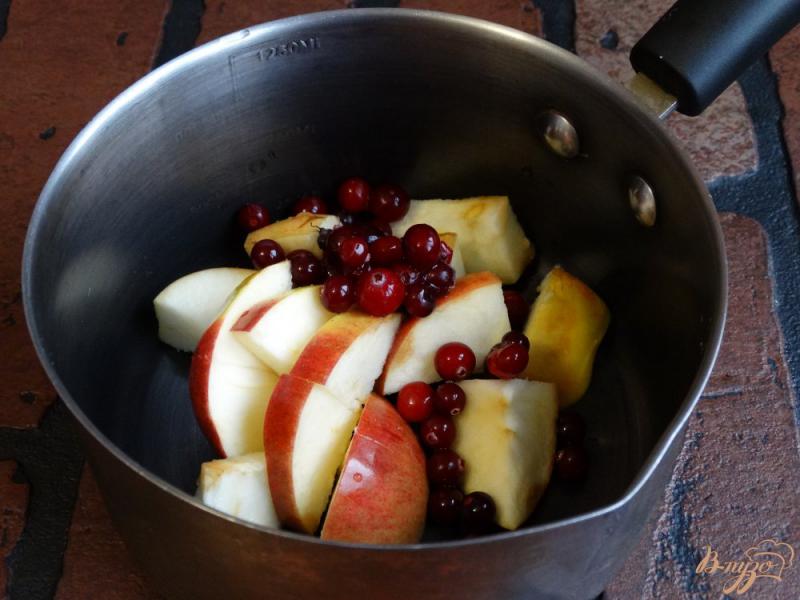 Фото приготовление рецепта: Яблочно-клюквенный компот с анисом шаг №2