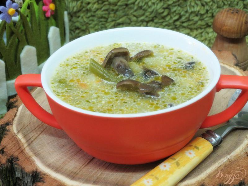 Фото приготовление рецепта: Суп с опятами, шпинатом  и спаржевой фасолью шаг №8