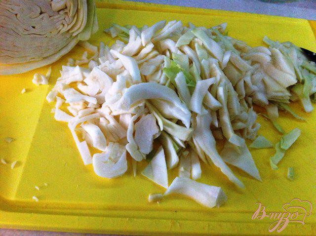 Фото приготовление рецепта: Щи из свежей капусты с остринкой шаг №2