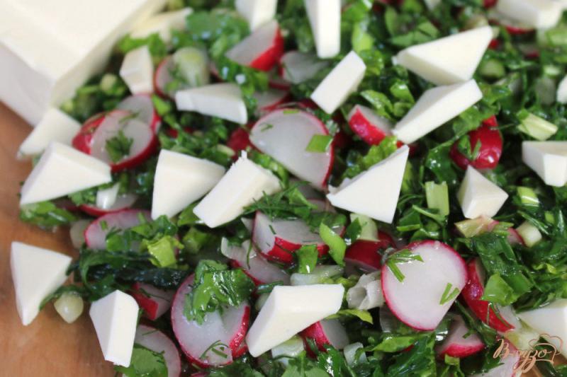 Фото приготовление рецепта: Салат с редисом и плавленным сыром шаг №5