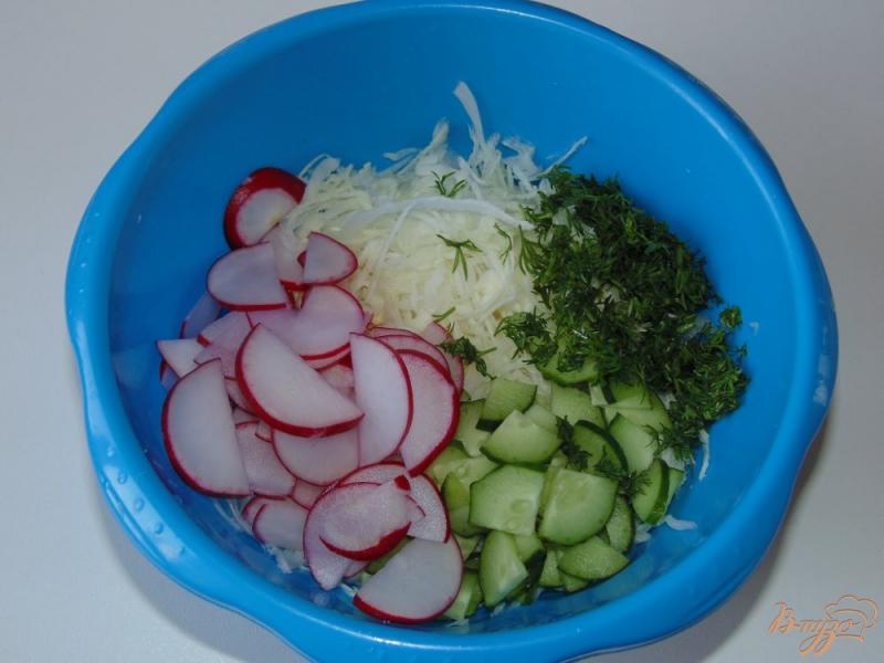 Фото приготовление рецепта: Капустный салат с редисом и огурцом шаг №4