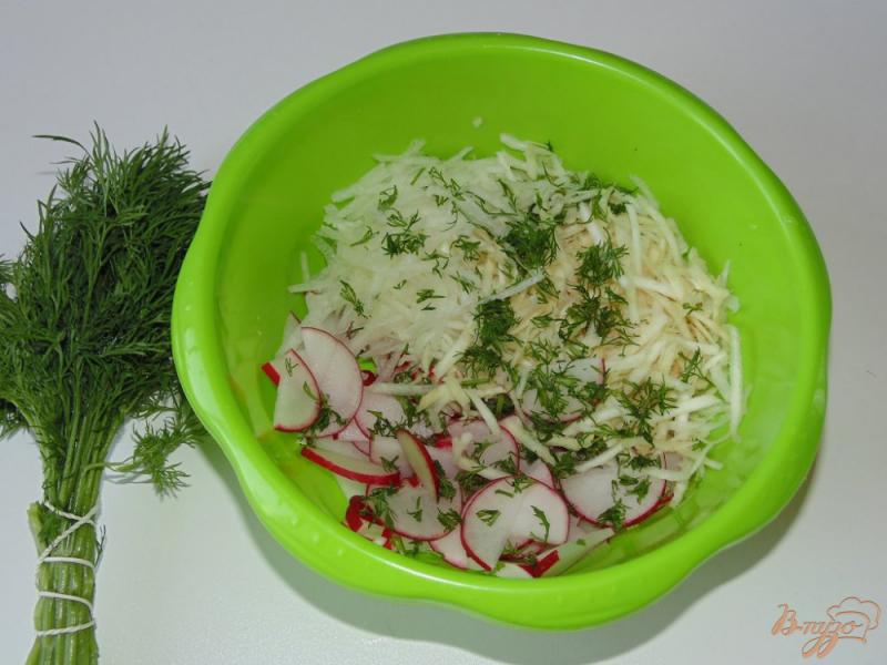 Фото приготовление рецепта: Салат из редиса, дайкона и корня сельдерея шаг №4