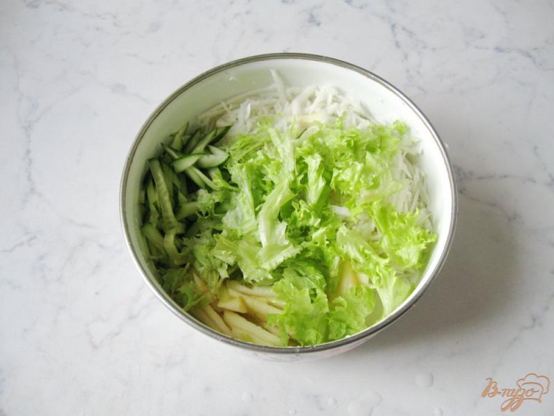 Фото приготовление рецепта: Весенний салат из овощей с яблоком и редькой шаг №6