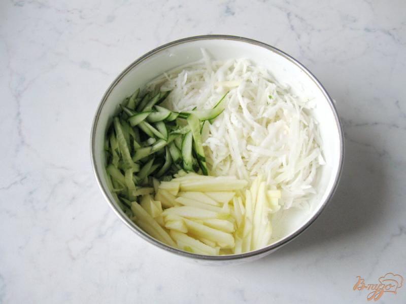 Фото приготовление рецепта: Весенний салат из овощей с яблоком и редькой шаг №5