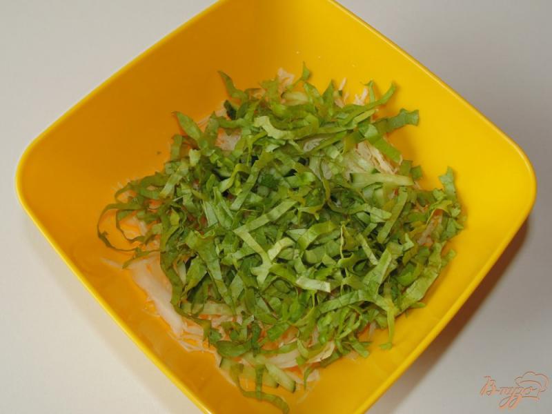 Фото приготовление рецепта: Капустный салат с листьями салата и огурцом шаг №3