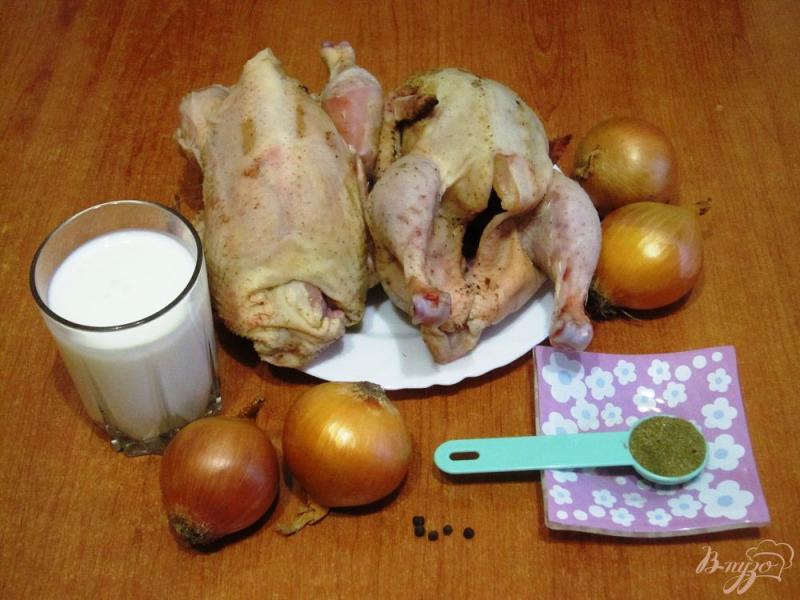 Фото приготовление рецепта: Цыплята в кефирном маринаде шаг №1