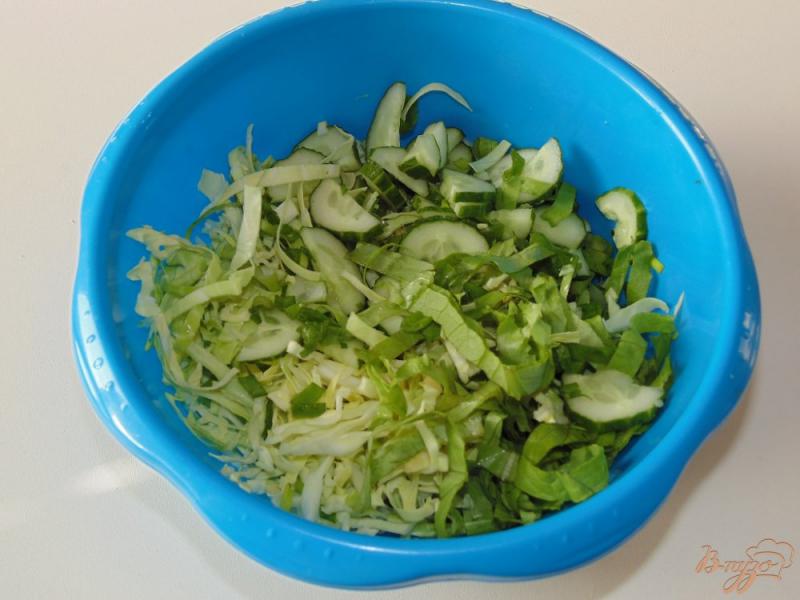 Фото приготовление рецепта: Салат из молодой капусты с листьями салата шаг №4