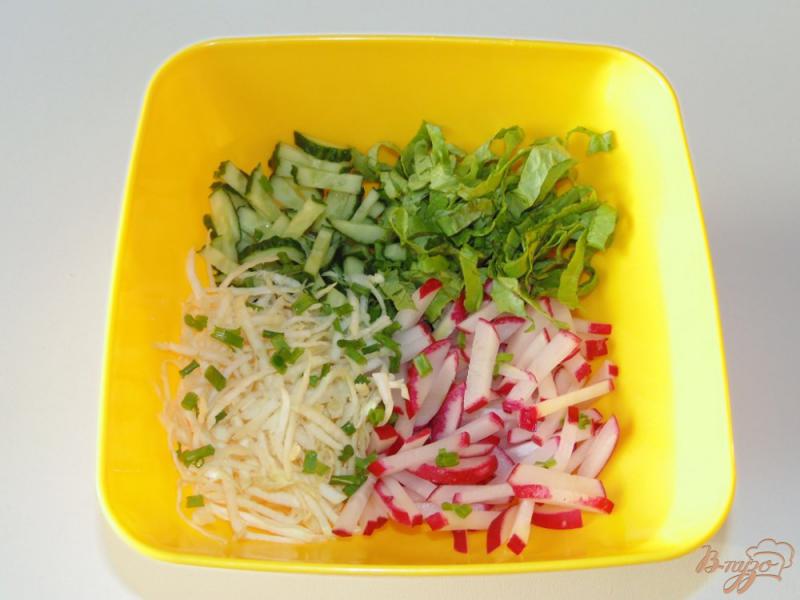 Фото приготовление рецепта: Салат из сельдерея корневого, редиса и огурца шаг №5