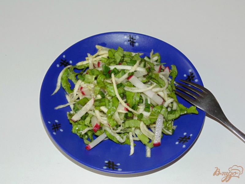 Фото приготовление рецепта: Салат из сельдерея корневого, редиса и огурца шаг №6