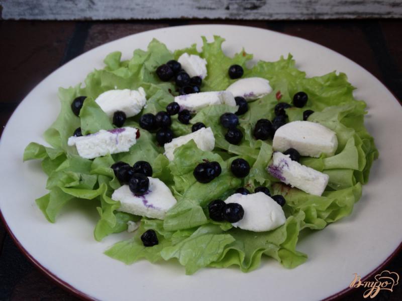 Фото приготовление рецепта: Салат с черникой, сыром и кедровыми орешками шаг №3