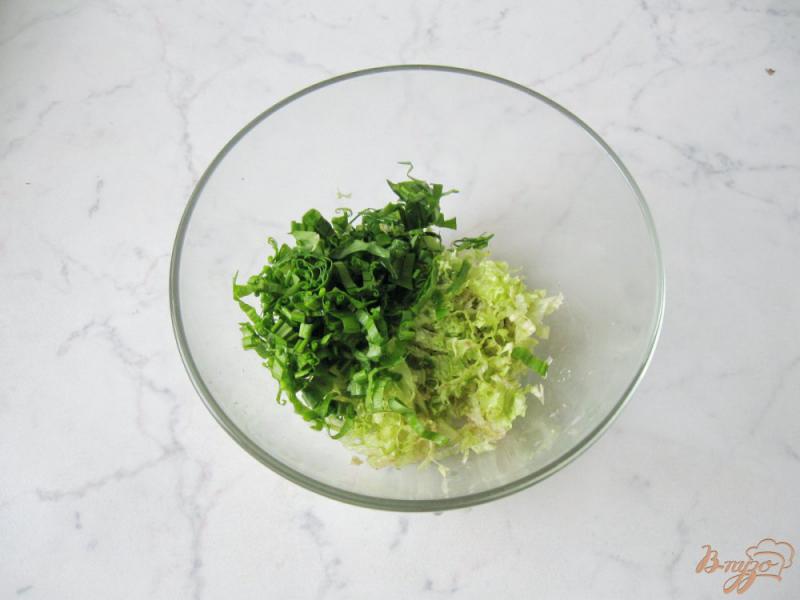 Фото приготовление рецепта: Салат - микс из весенних овощей шаг №2