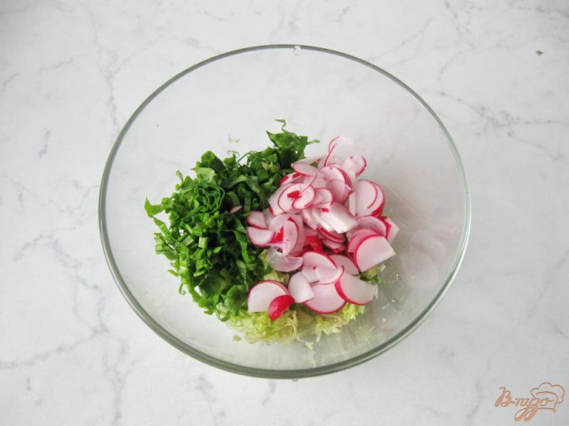 Фото приготовление рецепта: Салат - микс из весенних овощей шаг №3