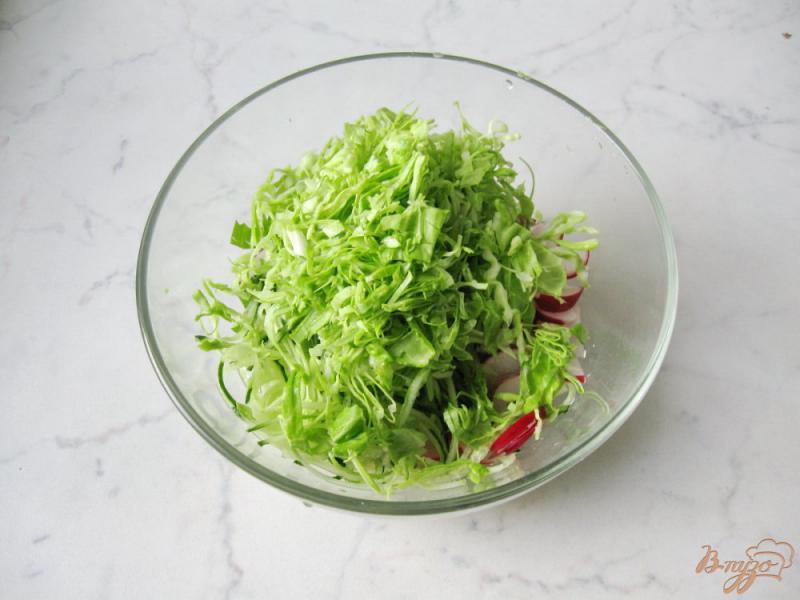 Фото приготовление рецепта: Салат - микс из весенних овощей шаг №5