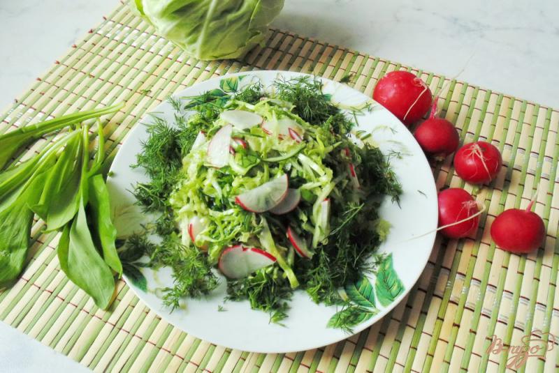 Фото приготовление рецепта: Салат - микс из весенних овощей шаг №8