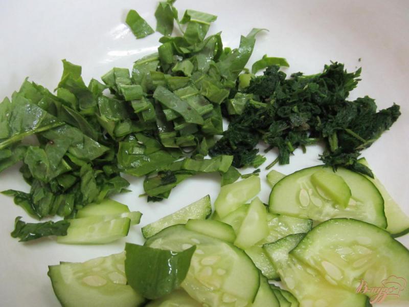 Фото приготовление рецепта: Зеленый салат с крапивой и щавелем шаг №2