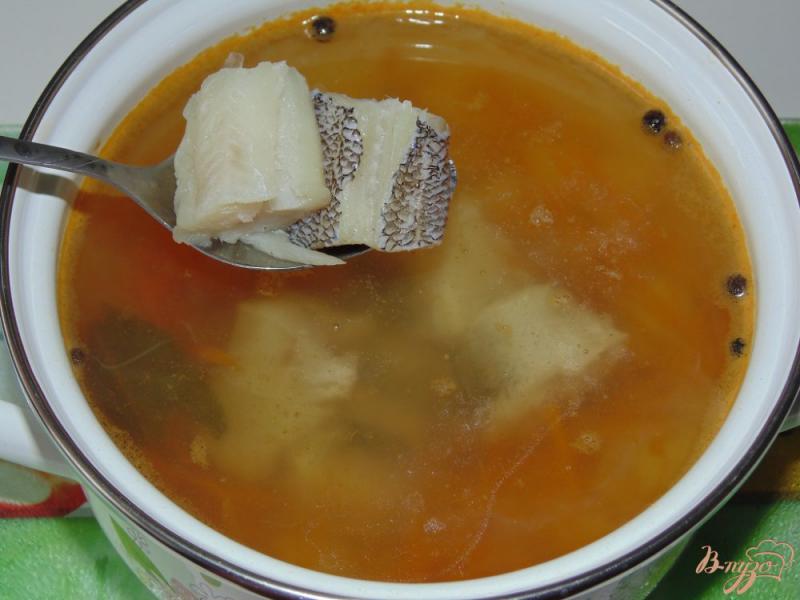 Фото приготовление рецепта: Рыбный суп из нототении шаг №5