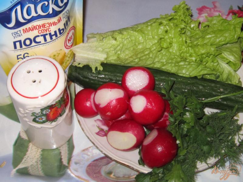 Фото приготовление рецепта: Салат «Весенний» с постным майонезом шаг №1