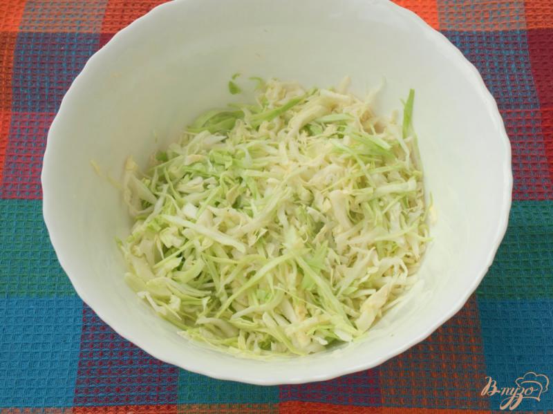 Фото приготовление рецепта: Салат с капустой, морковью, огурцом и помидорами шаг №1