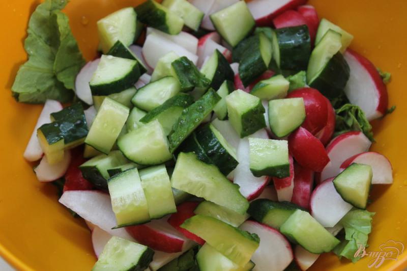 Фото приготовление рецепта: Салат с редиса, листа салата и маслин шаг №3