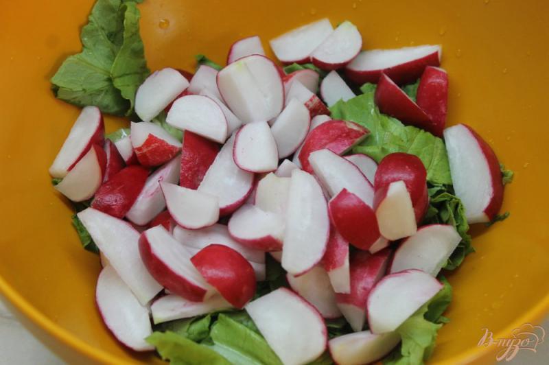 Фото приготовление рецепта: Салат с редиса, листа салата и маслин шаг №2