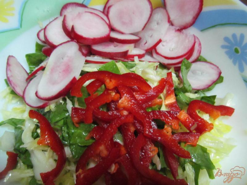 Фото приготовление рецепта: Салат из крапивы с редисом и щавелем шаг №3