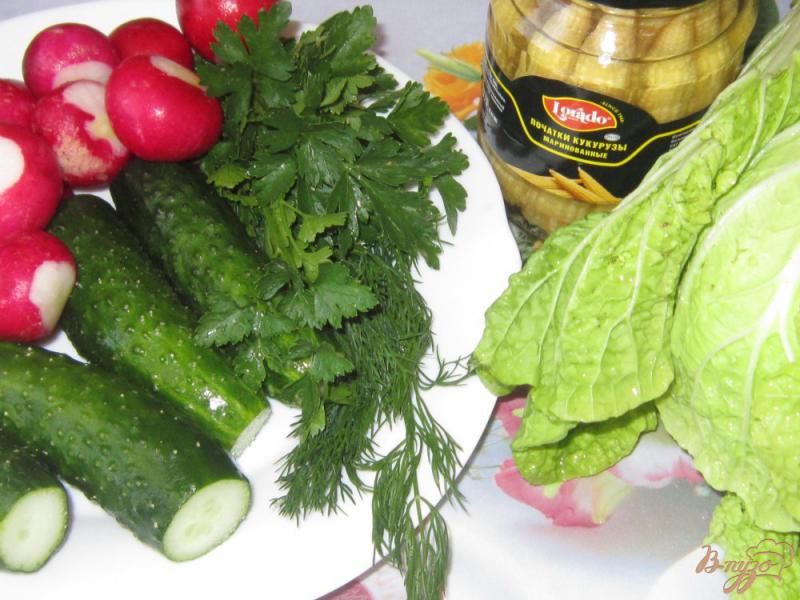 Фото приготовление рецепта: Салат с редисом и маринованными початками кукурузы шаг №1