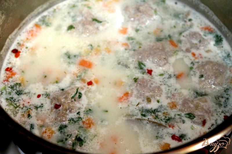 Фото приготовление рецепта: Овощной сливочный суп с мясными фрикадельками шаг №6