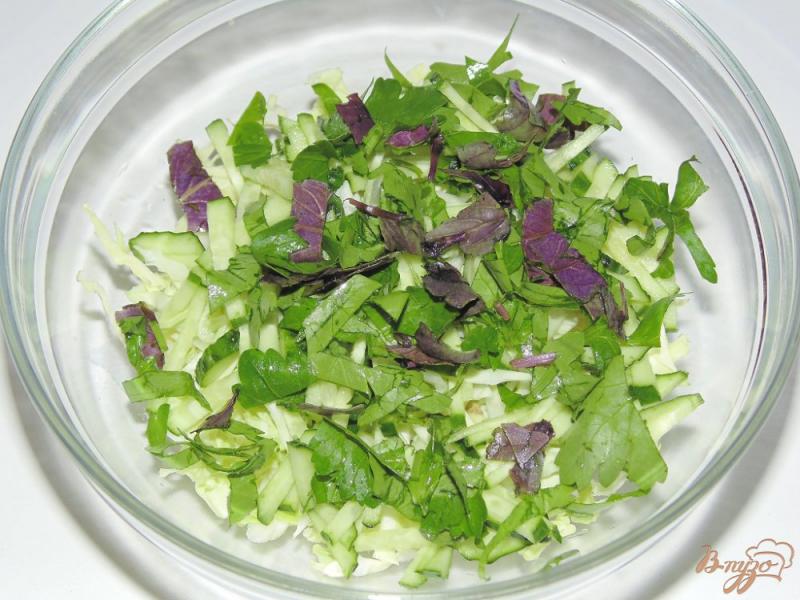 Фото приготовление рецепта: Салат из молодой капусты со свежим базиликом и огурцом шаг №3