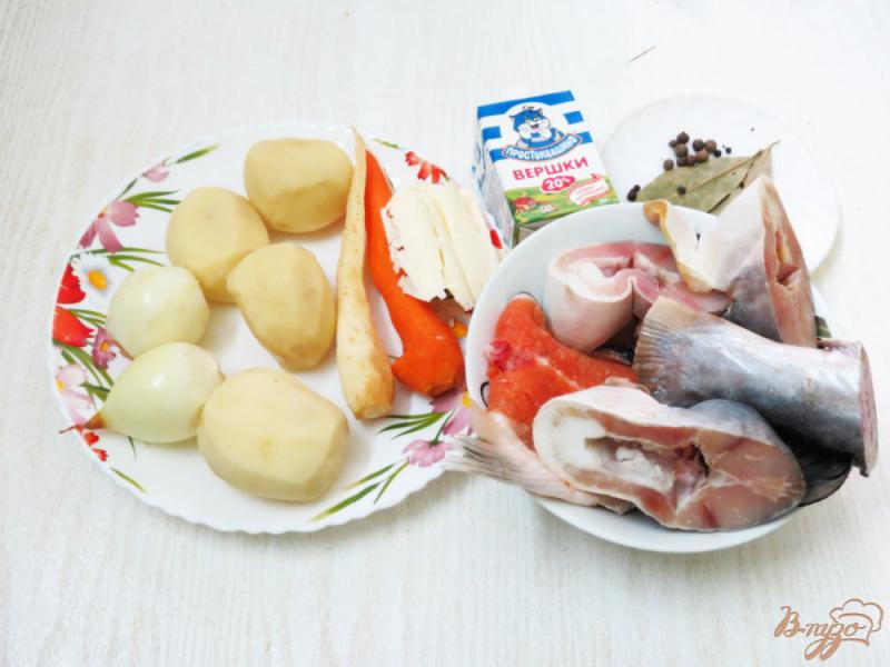 Фото приготовление рецепта: Рыбный суп из рыбного набора шаг №1