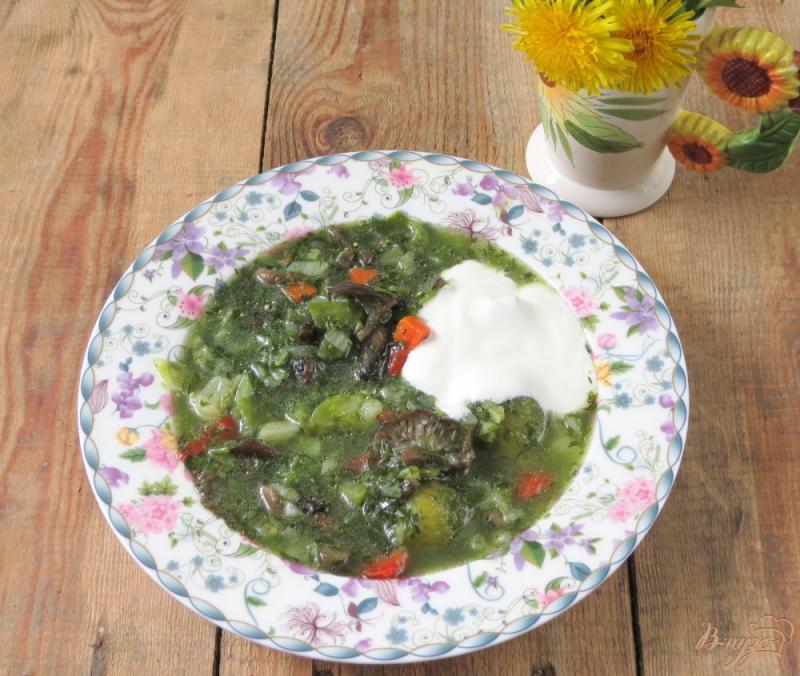 Фото приготовление рецепта: Суп овощной с опятами шаг №10