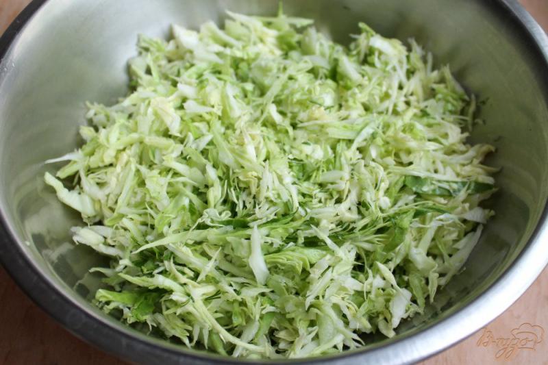 Фото приготовление рецепта: Салат из молодой капусты, помидор и зелени. шаг №2