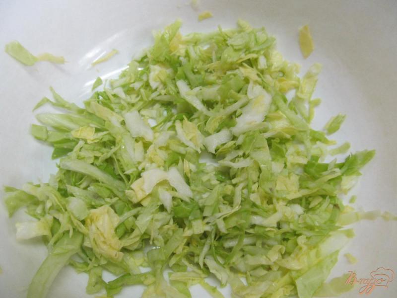 Фото приготовление рецепта: Капустный салат с редисом шаг №1