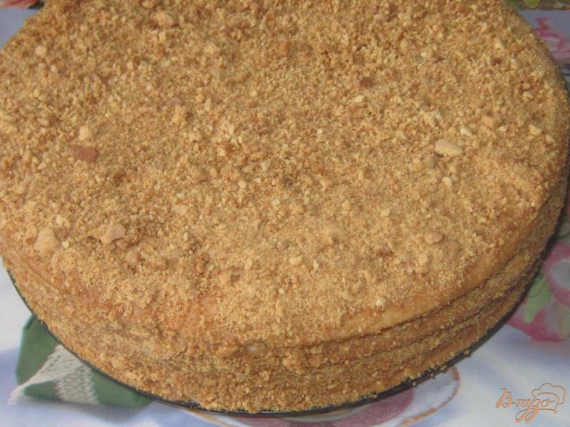 Фото приготовление рецепта: Торт «Медовик» фруктово-ягодный шаг №11