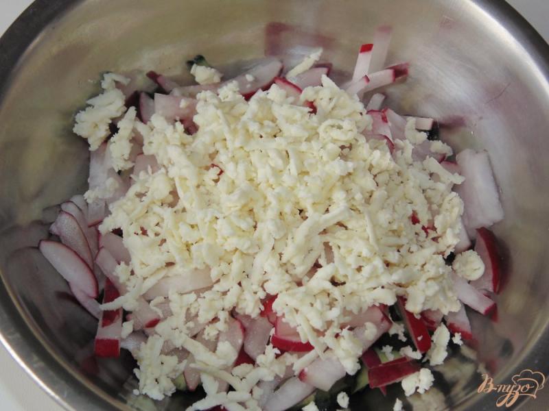 Фото приготовление рецепта: Салат из редиса, огурца и мягкого сыра шаг №3