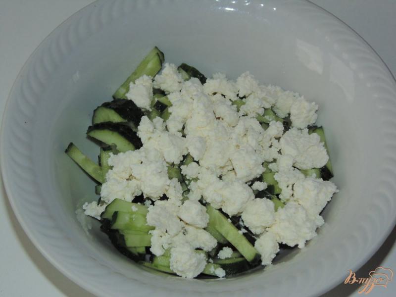 Фото приготовление рецепта: Салат из творога со свежим огурцом шаг №2
