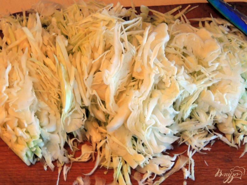 Фото приготовление рецепта: Капустный салат шаг №1