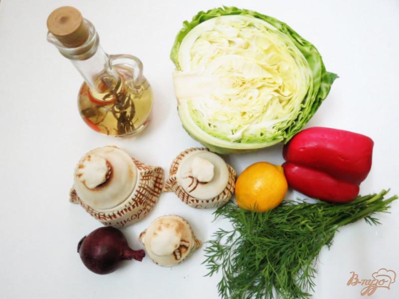 Фото приготовление рецепта: Салат с капустой и болгарским перцем шаг №1