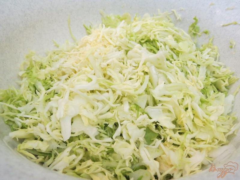 Фото приготовление рецепта: Салат с капустой и болгарским перцем шаг №2