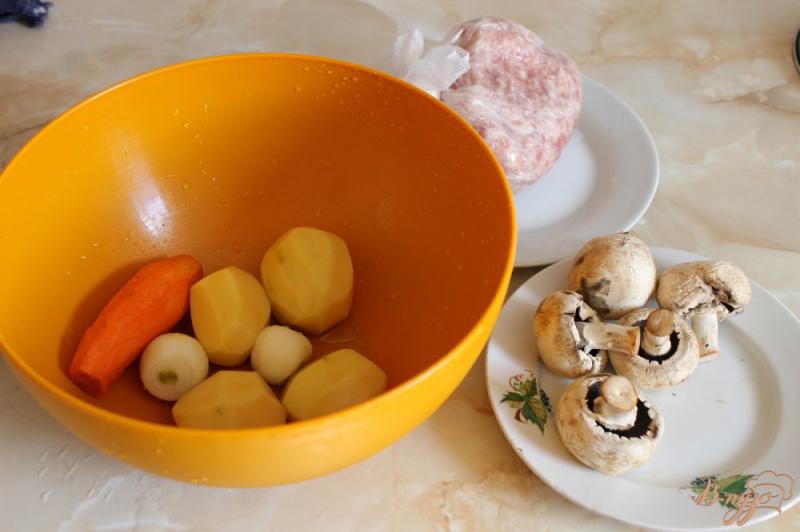 Фото приготовление рецепта: Грибной суп с свиными фрикадельками шаг №1
