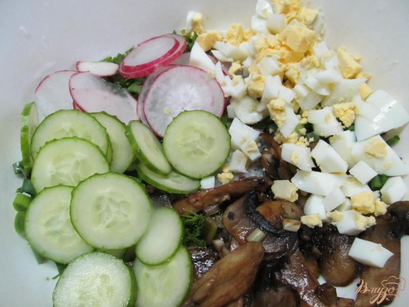 Фото приготовление рецепта: Салат из жаренных грибов редиса и огурца шаг №4