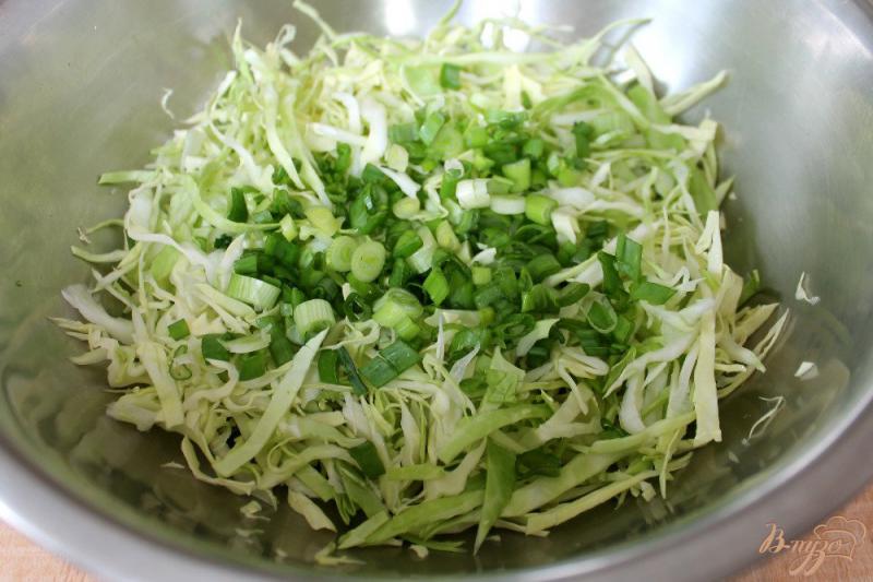 Фото приготовление рецепта: Салат из молодой капусты с брынзой и ветчиной шаг №1