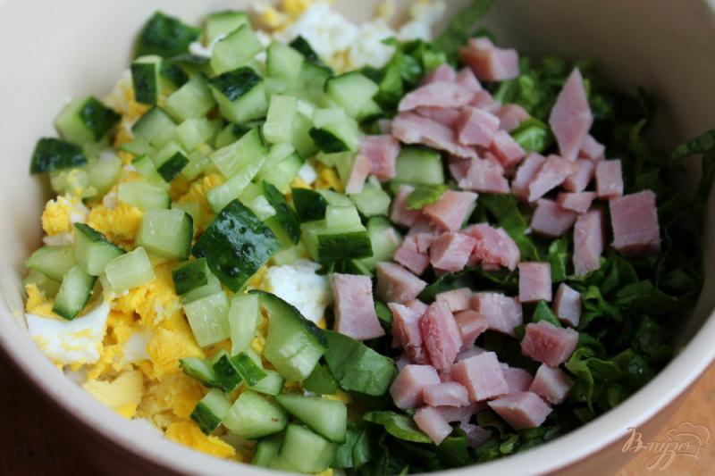 Фото приготовление рецепта: Порционный салат с яйцом, огурцом и ветчиной шаг №2
