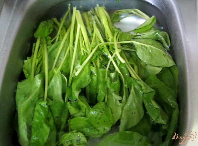 Фото приготовление рецепта: Заготовка шпината на зиму шаг №3