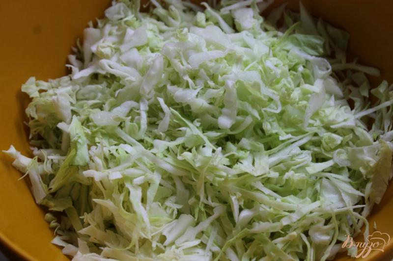 Фото приготовление рецепта: Семейный овощной салат шаг №1