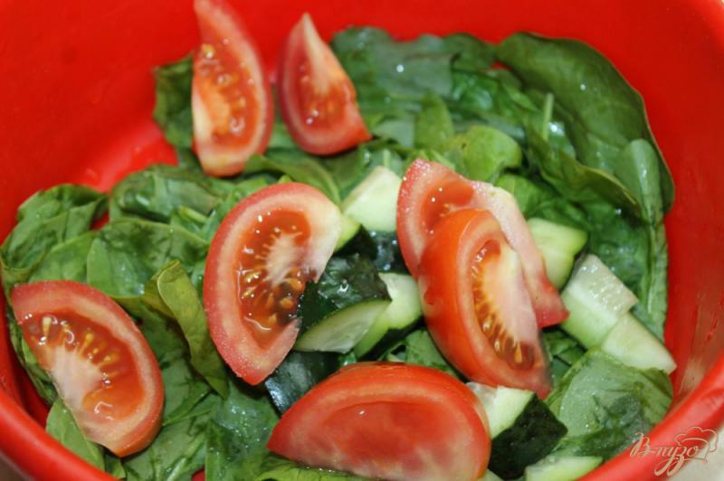 Фото приготовление рецепта: Салат с листьями, моцареллой и копченой колбасой шаг №2