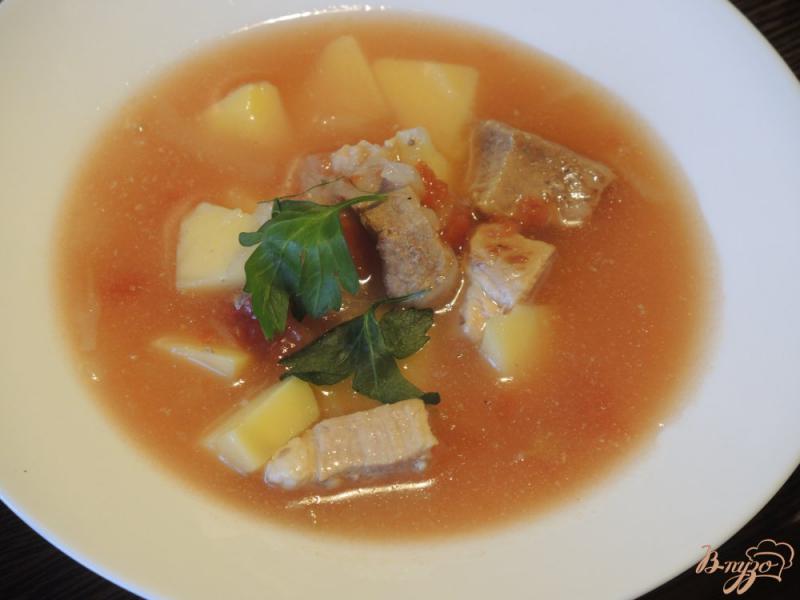Фото приготовление рецепта: Суп из свинины с тмином шаг №10