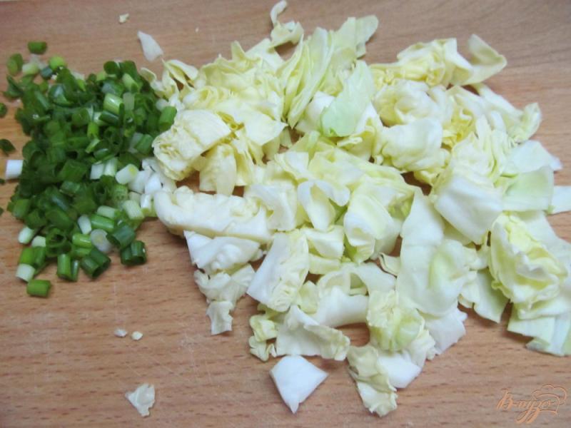 Фото приготовление рецепта: Суп с молодой капустой и фрикадельками шаг №2
