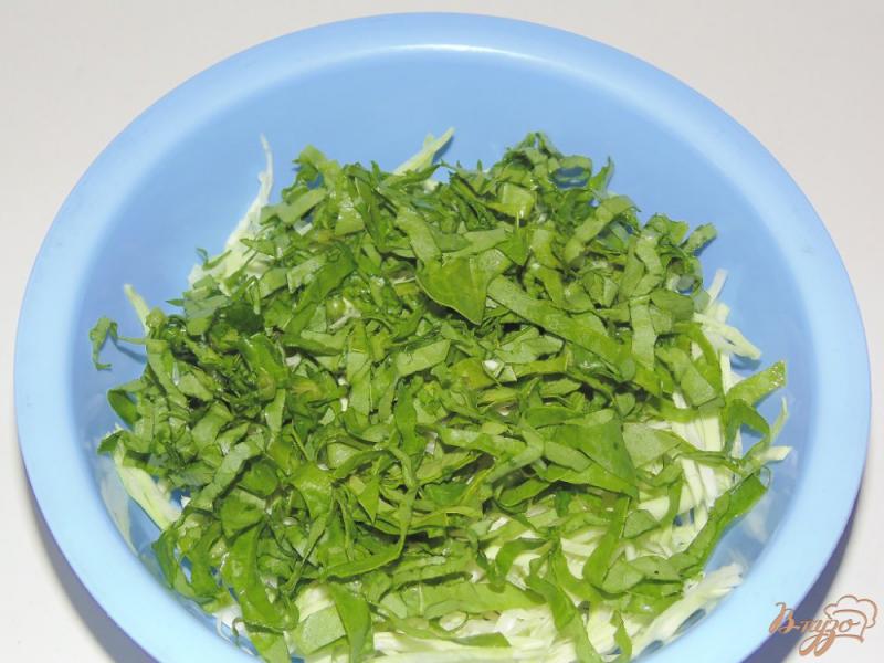 Фото приготовление рецепта: Капустный салат с яйцами и шпинатом шаг №2