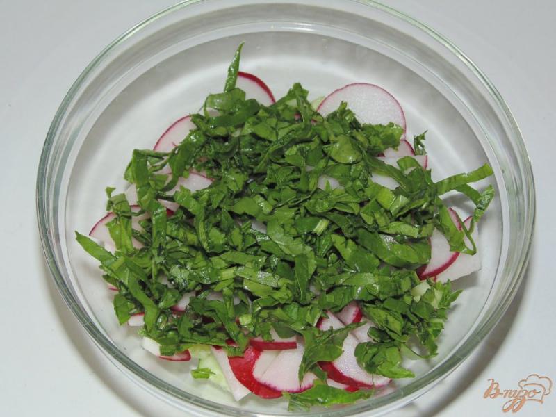 Фото приготовление рецепта: Салат из редиса со шпинатом шаг №3
