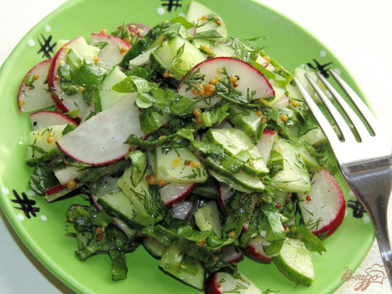 Фото приготовление рецепта: Салат из редиса со шпинатом шаг №5